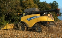 Sklizeň kukuřice kombajnem New Holland CR 980