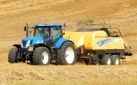 Lis NEW NOLLAND BB9080