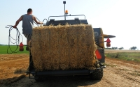 Lis New Holland BB 9080